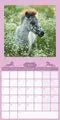 AlphaEdition Mijn Paarden Kalender 2027