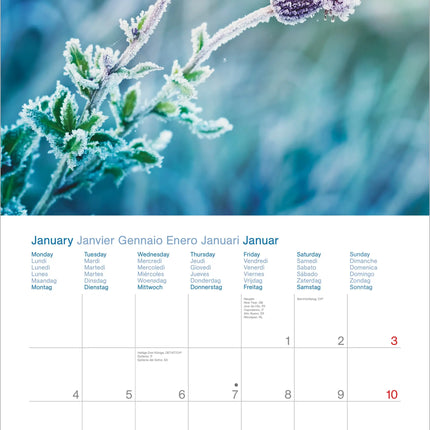 AlphaEdition Momenten voor jou Kalender 2027