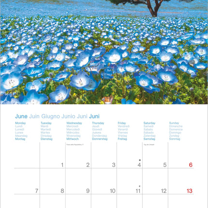 AlphaEdition Momenten voor jou Kalender 2027