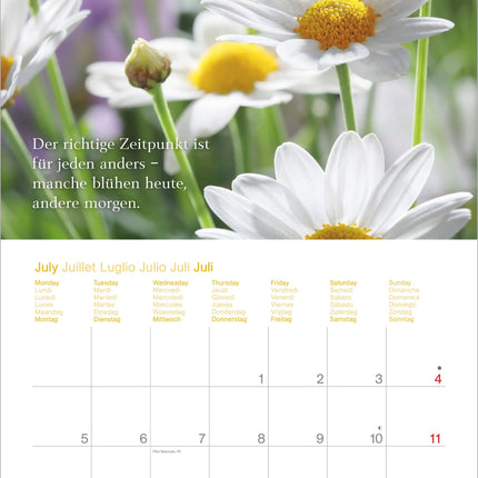 AlphaEdition Momenten voor jou Kalender 2027