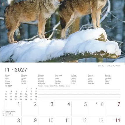 AlphaEdition Mysterieus bosleven Kalender 2027