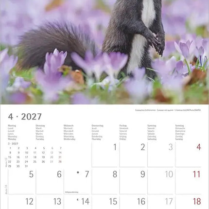 AlphaEdition Mysterieus bosleven Kalender 2027