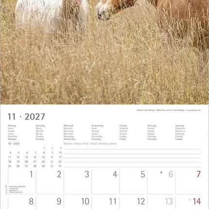 AlphaEdition Paarden Kalender 2027