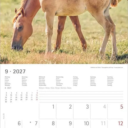 AlphaEdition Paarden Kalender 2027