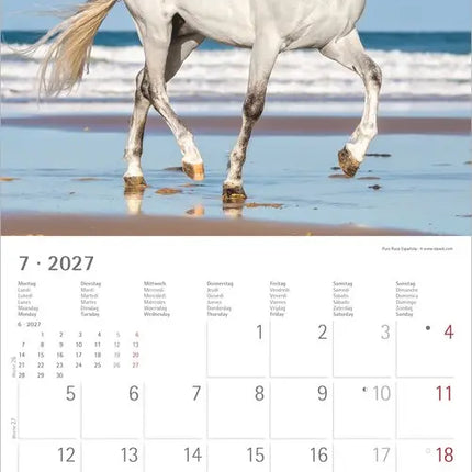 AlphaEdition Paarden Kalender 2027
