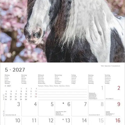 AlphaEdition Paarden Kalender 2027