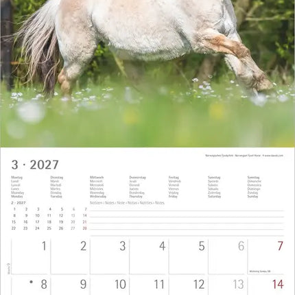 AlphaEdition Paarden Kalender 2027