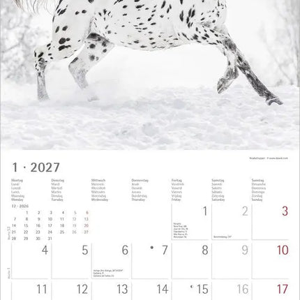 AlphaEdition Paarden Kalender 2027