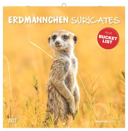 AlphaEdition Stokstaartjes Kalender 2027