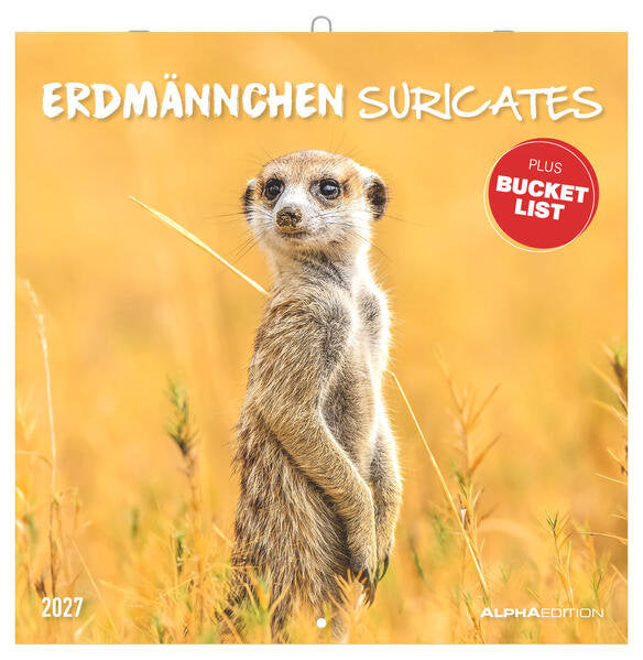 AlphaEdition Stokstaartjes Kalender 2027