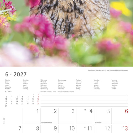 AlphaEdition Uilen Kalender 2027