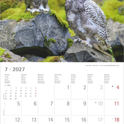 AlphaEdition Uilen Kalender 2027