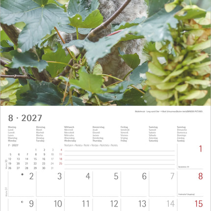 AlphaEdition Uilen Kalender 2027