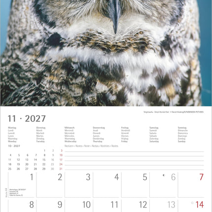 AlphaEdition Uilen Kalender 2027