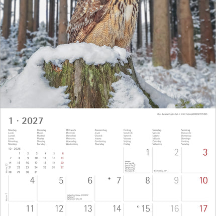 AlphaEdition Uilen Kalender 2027
