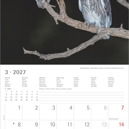 AlphaEdition Uilen Kalender 2027