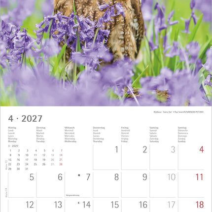AlphaEdition Uilen Kalender 2027