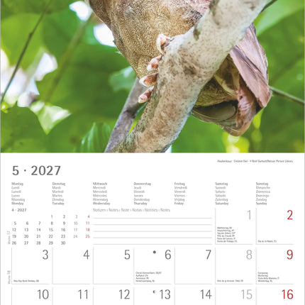 AlphaEdition Uilen Kalender 2027