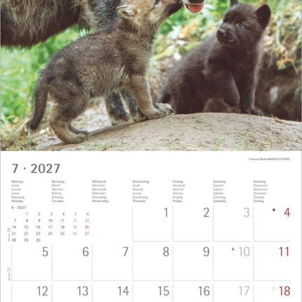AlphaEdition Wolven Kalender 2027