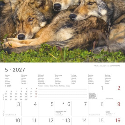 AlphaEdition Wolven Kalender 2027