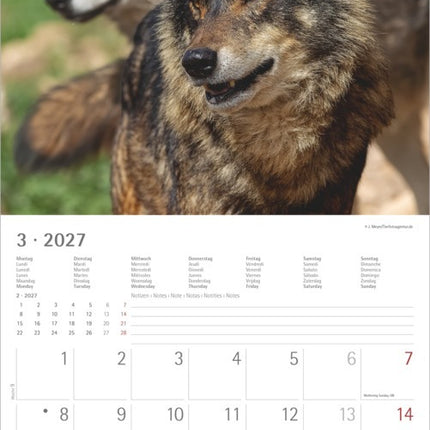 AlphaEdition Wolven Kalender 2027