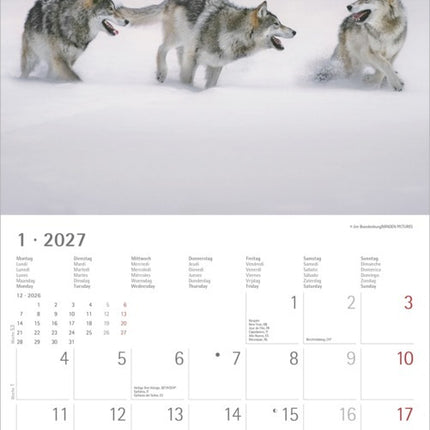 AlphaEdition Wolven Kalender 2027
