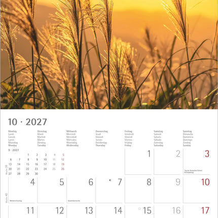 AlphaEdition Zonnige Momenten Kalender 2027