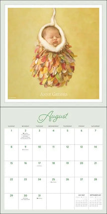 Andrews McMeel Anne Geddes Kalender 2027