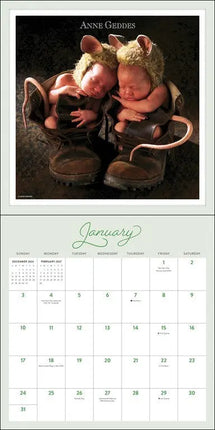 Andrews McMeel Anne Geddes Kalender 2027