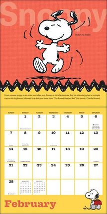 Andrews McMeel Peanuts Kalender 2027
