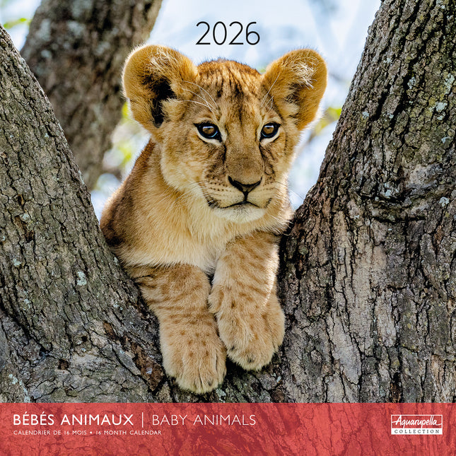 Aquarupella Baby Dieren Kalender 2026