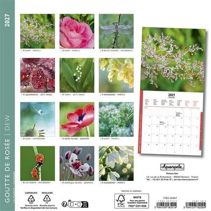 Aquarupella Dauw Kalender 2027 Mini