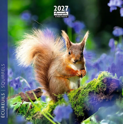 Aquarupella Eekhoorn Kalender 2027 Mini