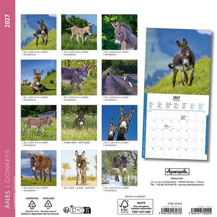 Aquarupella Ezels Kalender 2027 Mini