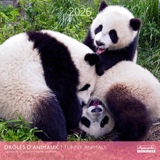 Aquarupella Funny Animals Kalender 2026