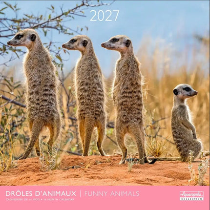 Aquarupella Funny Animals Kalender 2027
