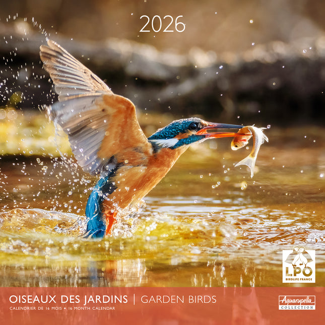 Aquarupella Garden Birds Kalender 2026