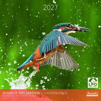 Aquarupella Garden Birds Kalender 2027