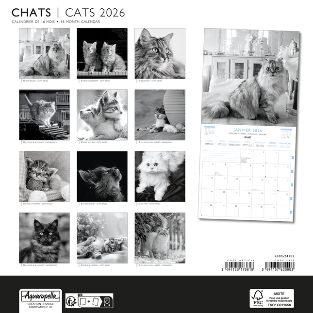 Aquarupella Katten in Zwart Wit Kalender 2026