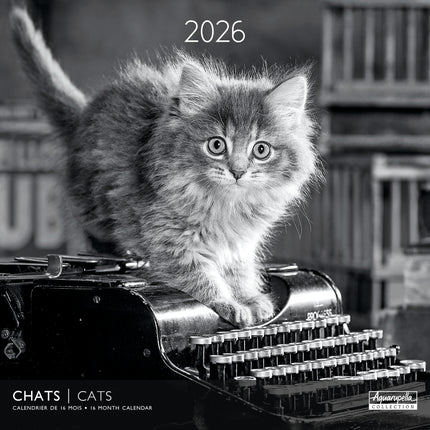 Aquarupella Katten in Zwart Wit Kalender 2027