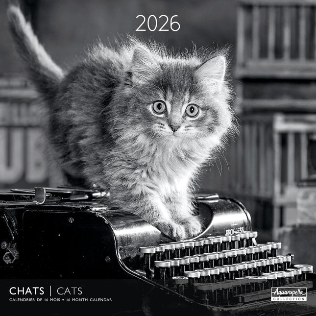 Aquarupella Katten in Zwart Wit Kalender 2027