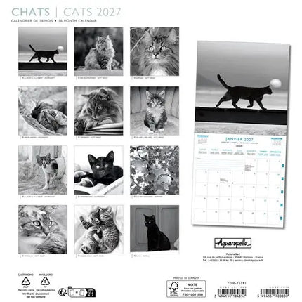 Aquarupella Katten in Zwart Wit Kalender 2027