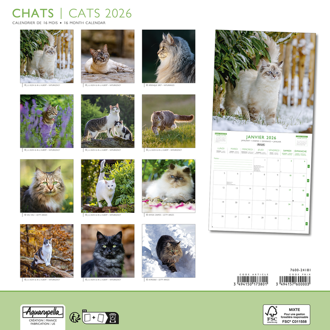 Aquarupella Katten Kalender 2026