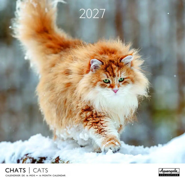 Aquarupella Katten Kalender 2027