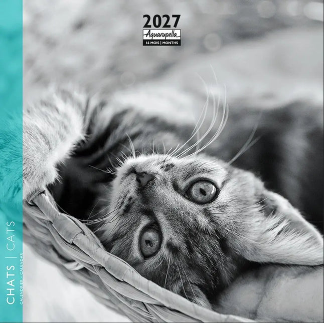 Aquarupella Katten Kalender 2027 Mini