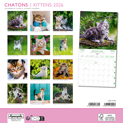 Aquarupella Kittens Kalender 2027