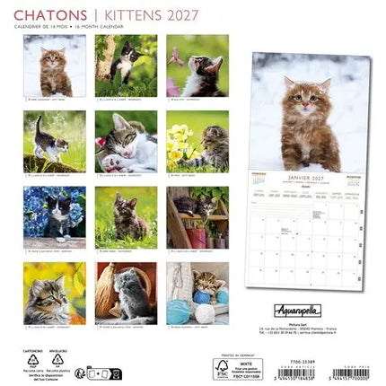 Aquarupella Kittens Kalender 2027