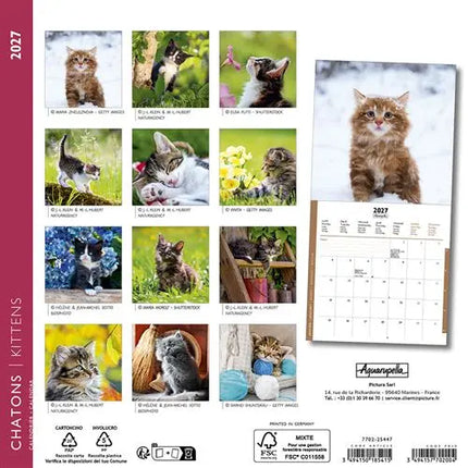 Aquarupella Kittens Kalender 2027 Mini
