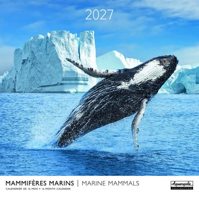 Aquarupella Marine Mammals Kalender 2027