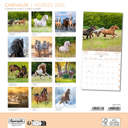 Aquarupella Paarden Kalender 2026